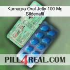 Kamagra Oral Jelly 100Mg Sildenafil new02